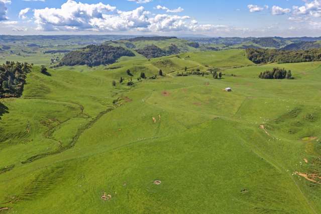 786 Tikitiki Road Te Kuiti_1