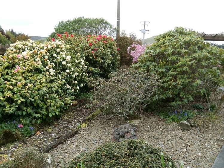 22 Arthur Road Owaka_10