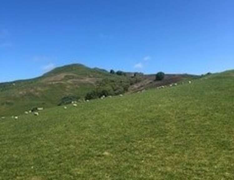 715 Te Apiti Road Waimarama_6