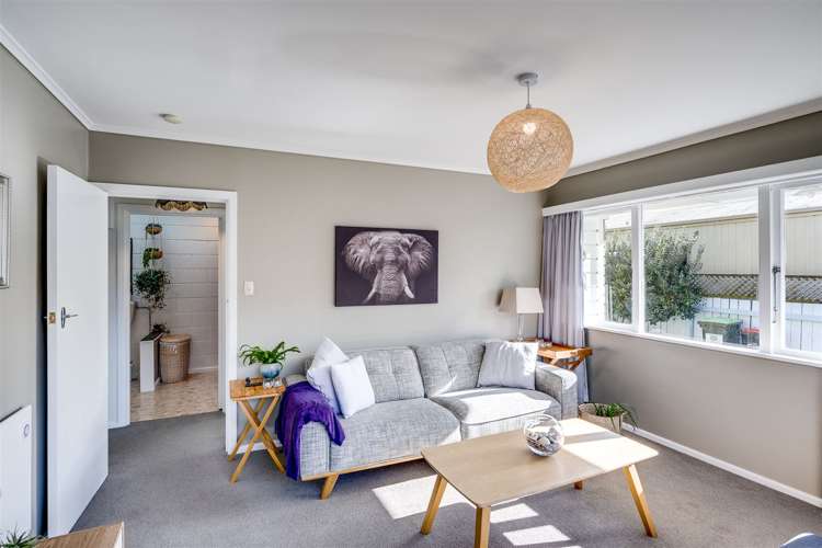 4/29 Mcdonald Street Napier South_7