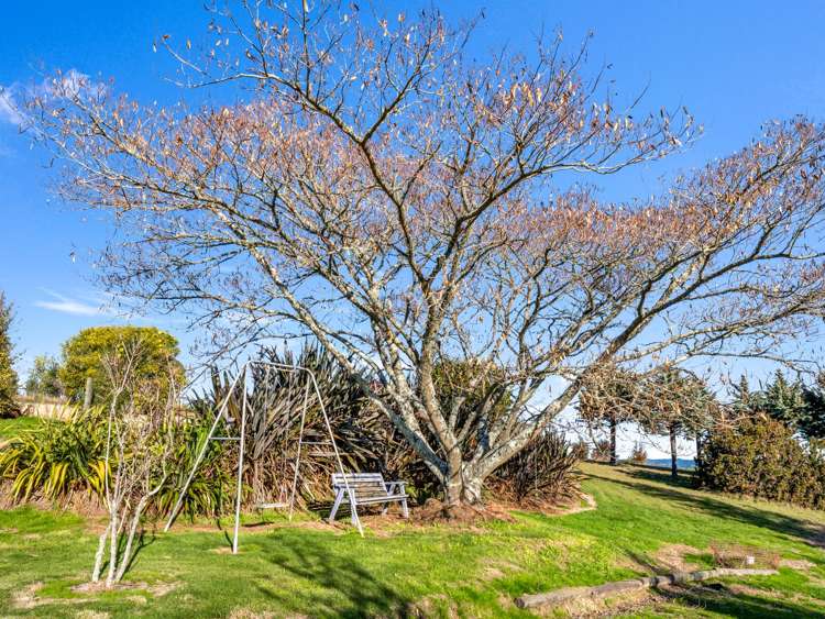 2280 Moutere Highway Lower Moutere_34