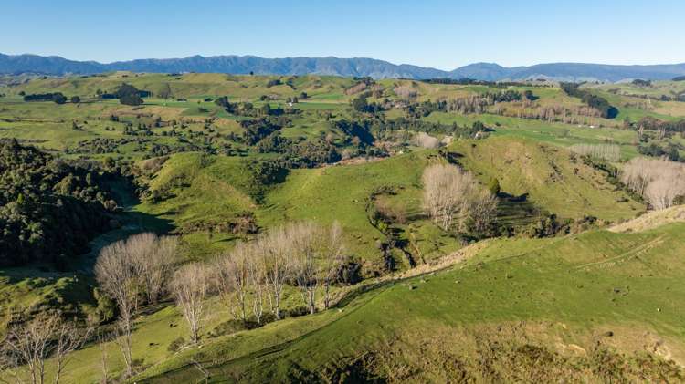 762 Rangiwahia Road Kimbolton_18