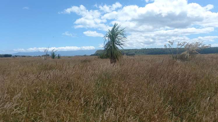 858 Papatotara Road Papatotara_14