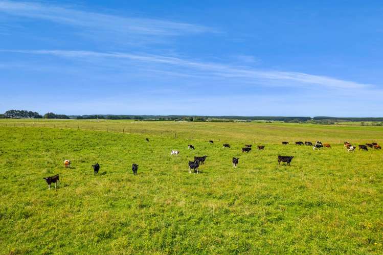 78 Nukumaru Station Road Waitotara_8