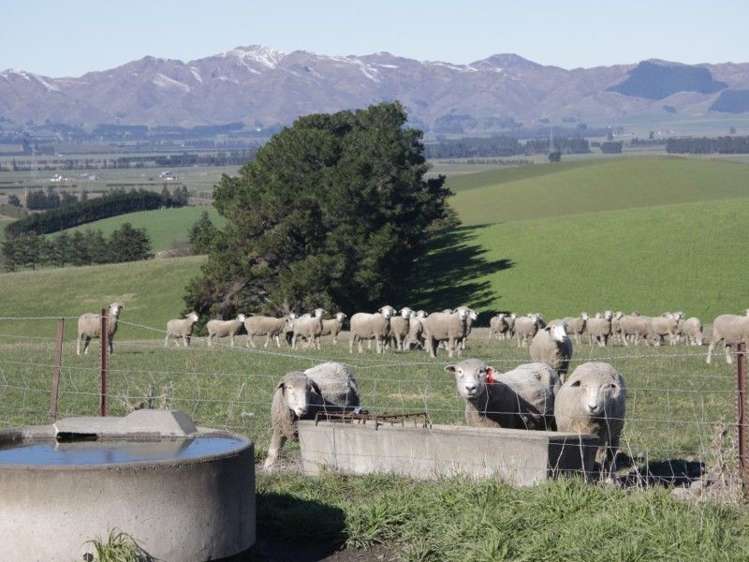 211a Mouse Point Road Culverden_13