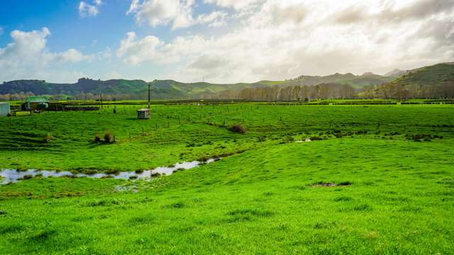 145 (approx) Maratoto Road Paeroa_4