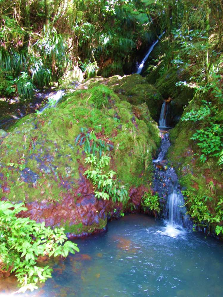 42 Matheson Road Hukerenui and Surrounds_18