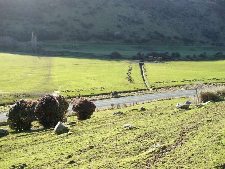 Papatowai Highway Papatowai/Pounawea_3