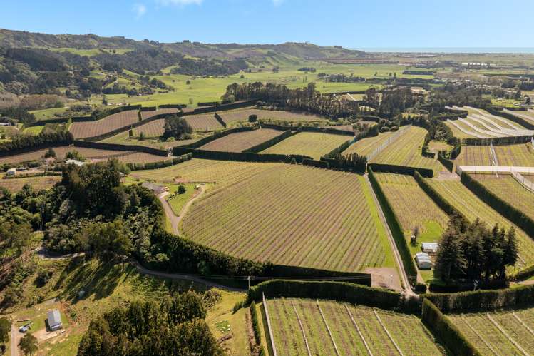 388 Manoeka Road Te Puke_17