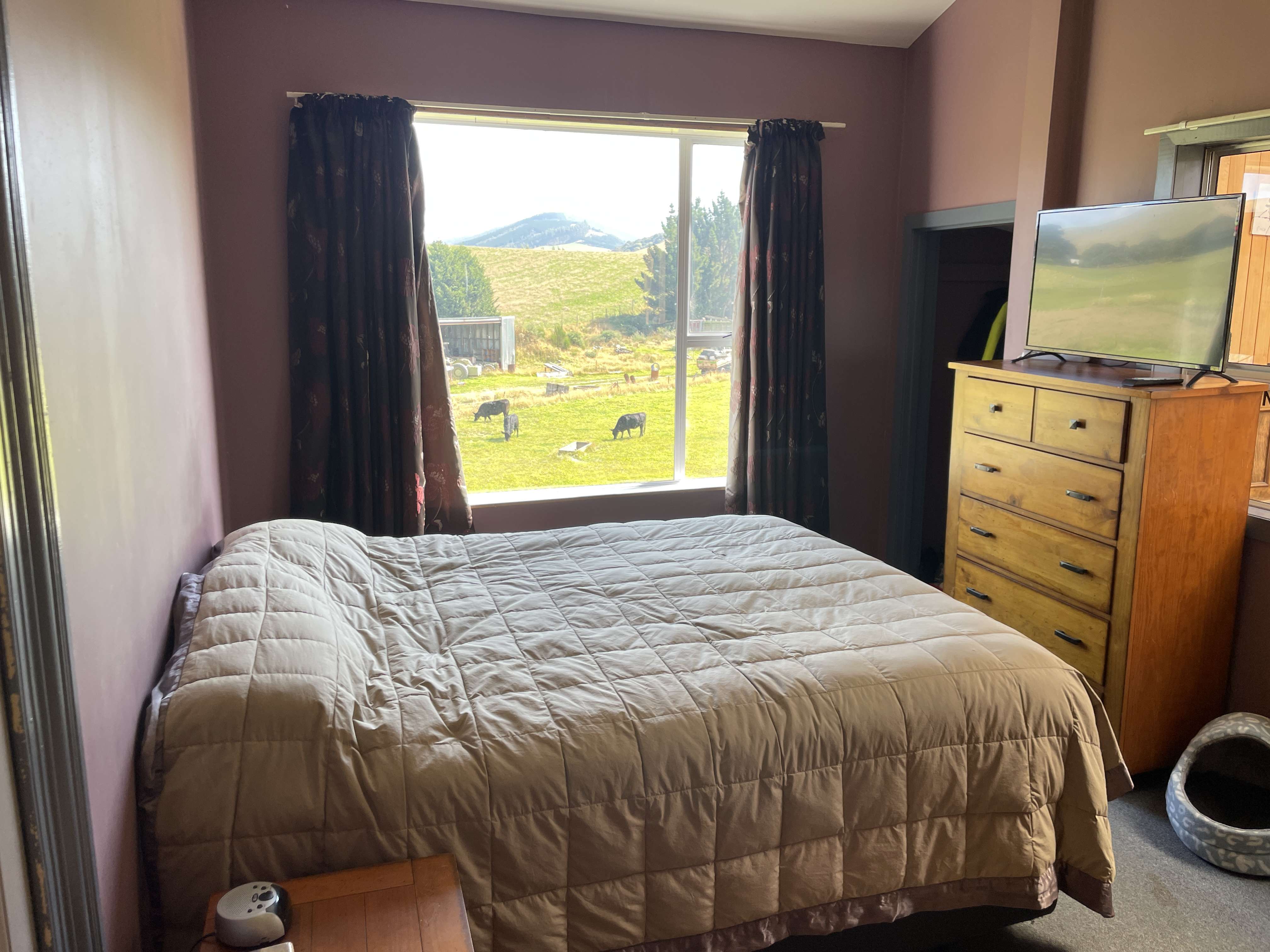 19581970 Owaka Highway Ahuriri Flat Clutha Rural Property For