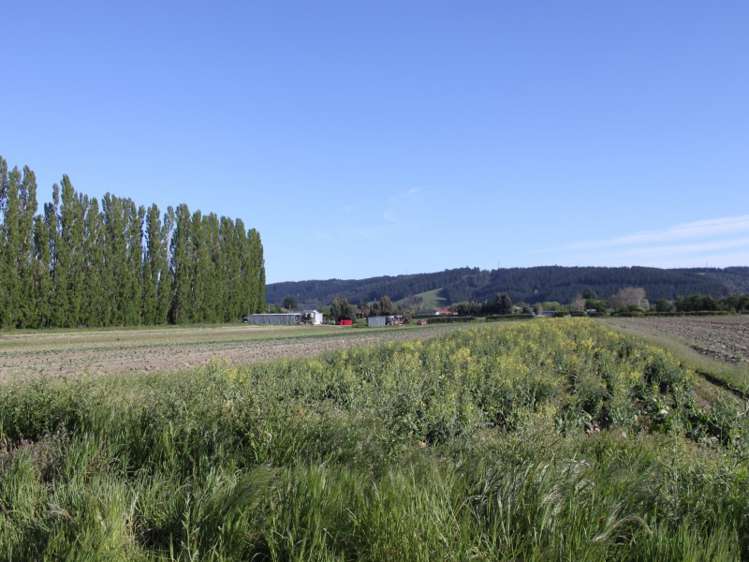 498 Allanton Road Outram_12