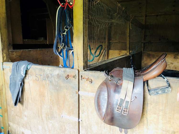 54 Young Access Dairy Flat_5