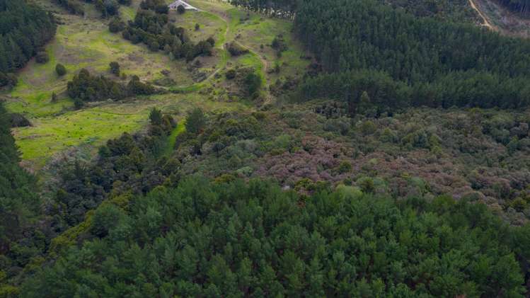 609b Bickerstaffe Road Maungaturoto_8