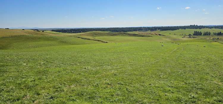 122 Middleton Road Waimahaka_2