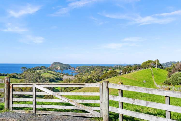 Lot 1 Middle Ridge Tutukaka Coast_8