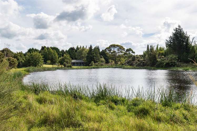 50 Equestrian Drive Kerikeri_9