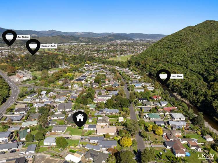 15B Black Beech Birchville_7