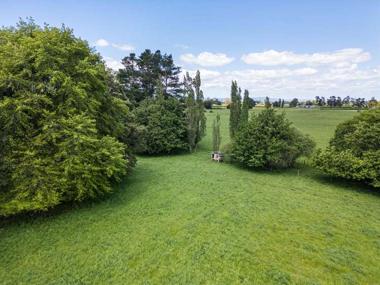 Ngarua Road Morrinsville_6