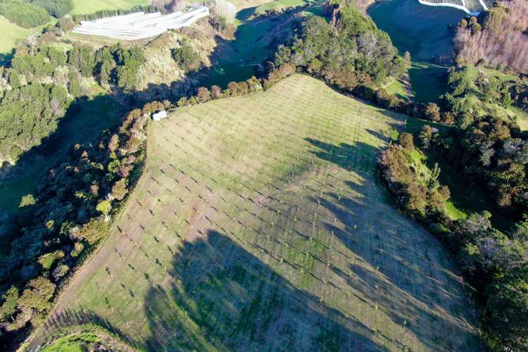 Maniatutu Road Pongakawa_18