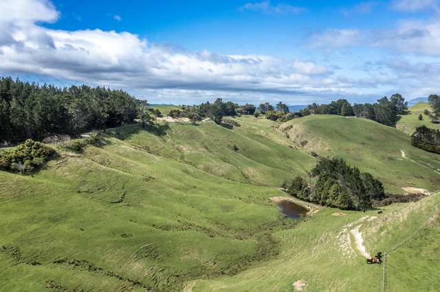 1063 Ngapaeruru Road Dannevirke_4