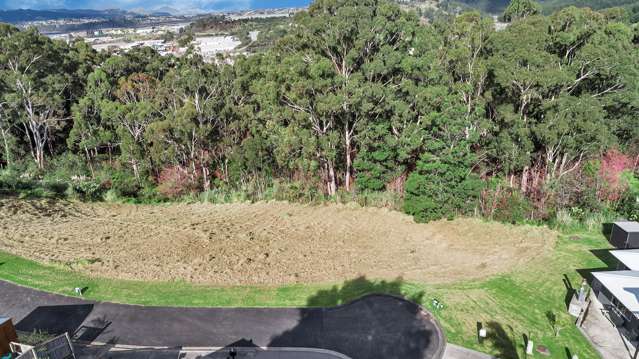 23 Madison Place Morningside_2