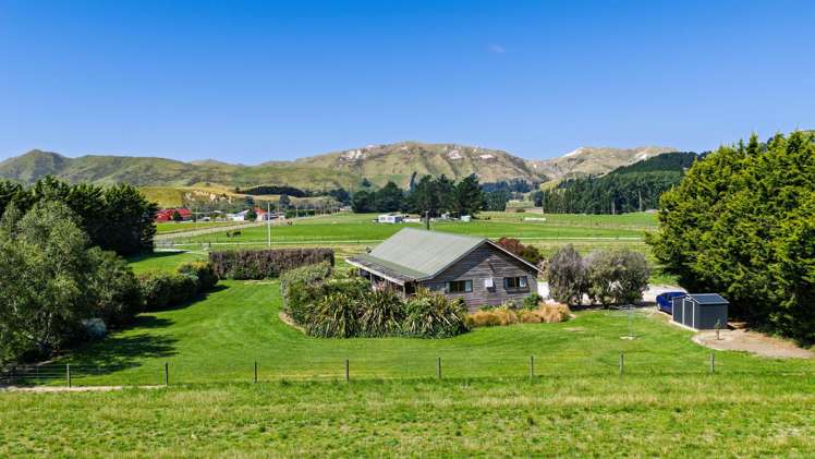 36 Seddon Street Ward_17