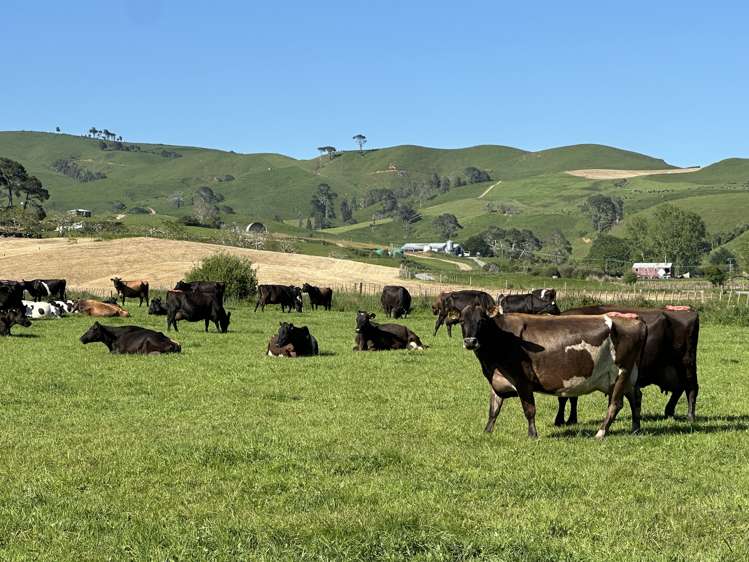 258 Paratu West Road Richmond Downs_14