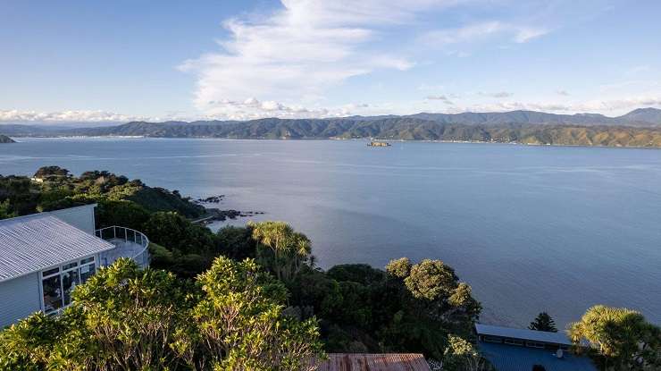 The property on Nevay Road, in Karaka Bays, Wellington had not been lived in for more than a decade and had a tree growing through it. Photo / Supplied