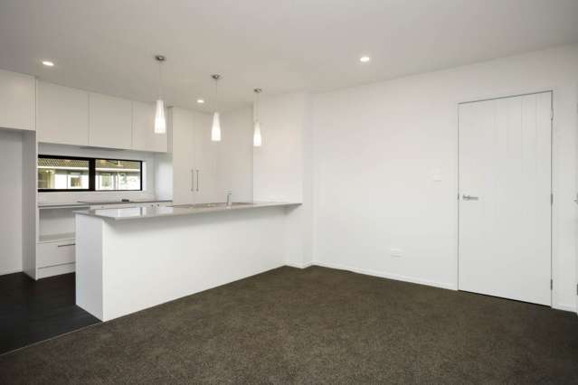 1/10 Shamrock Lane Te Atatu Peninsula_3