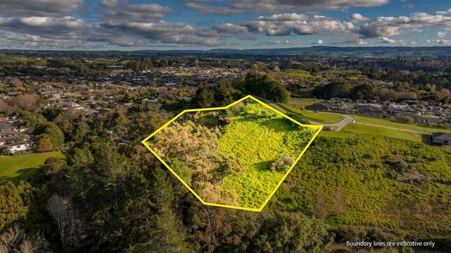 99 Carmen Way Ohauiti_3