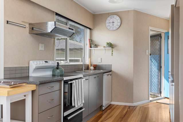 208 Tamamutu Street Taupo_2