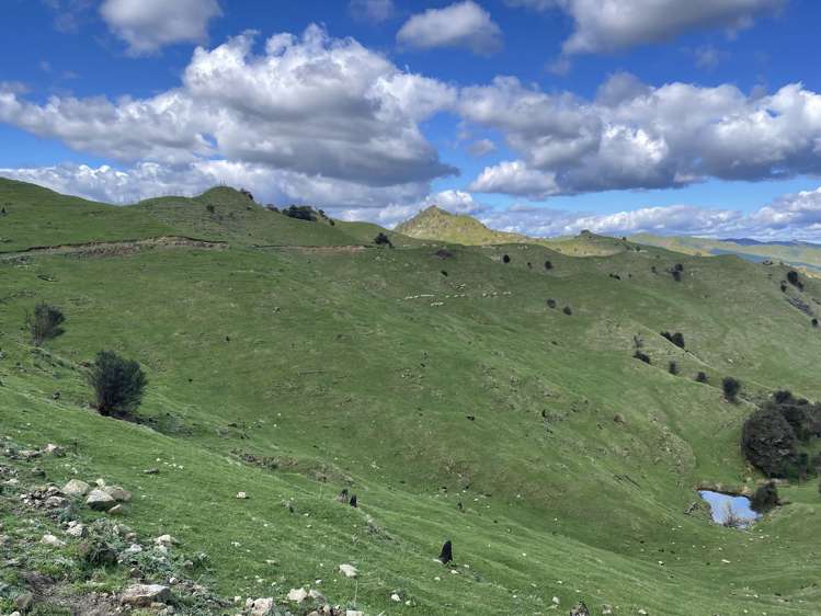 166 Saddler Road Ruapehu_19