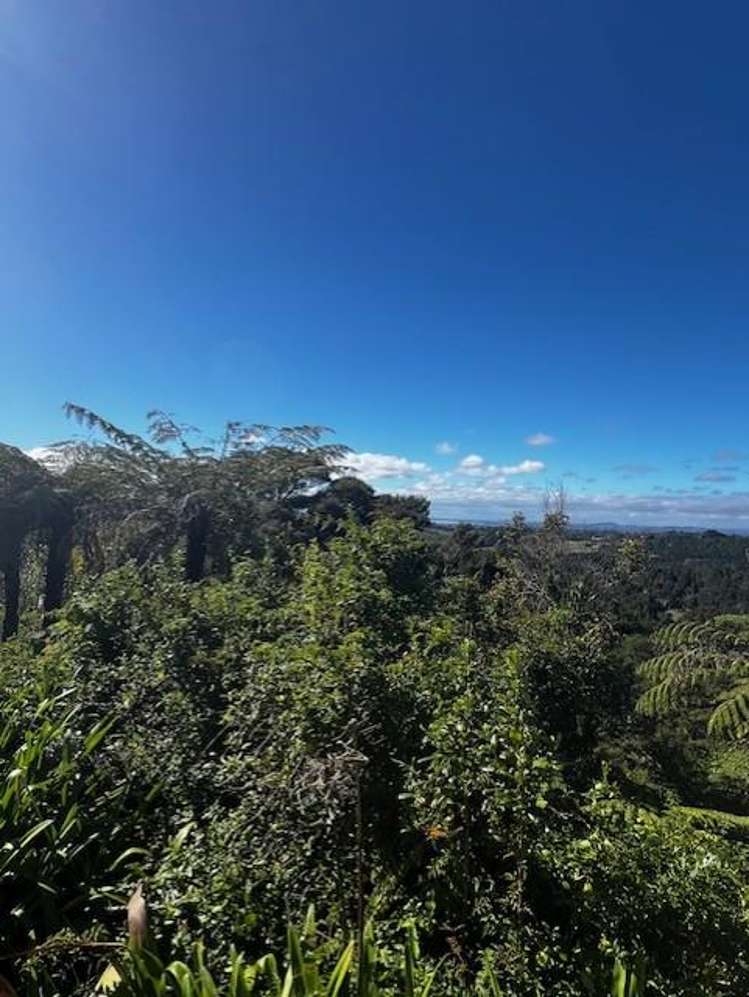 50 Kitewaho Road Swanson_7