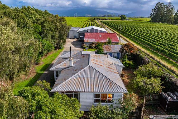 168 Old Renwick Road Springlands_7