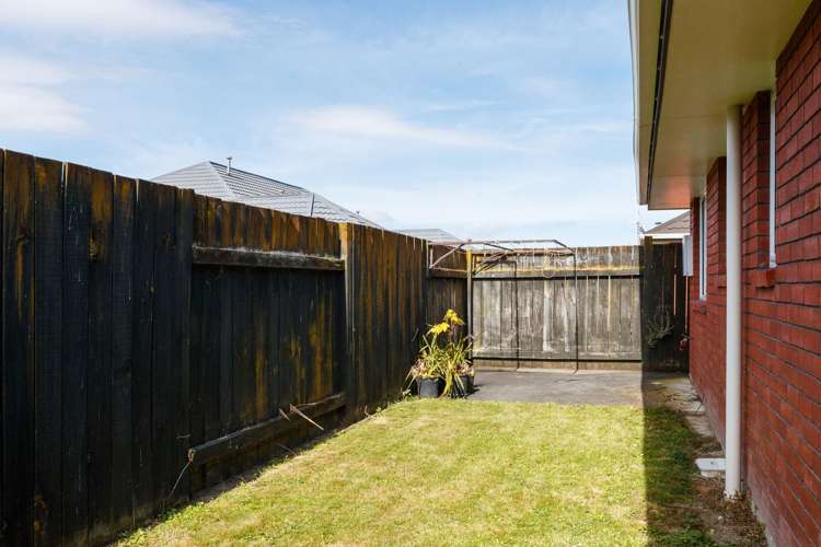 5a Carroll Street Palmerston North Central_14