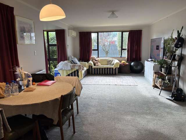 59 Havelock Street 1383_3