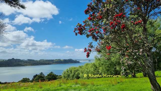 224a Petley Road Paparoa_4