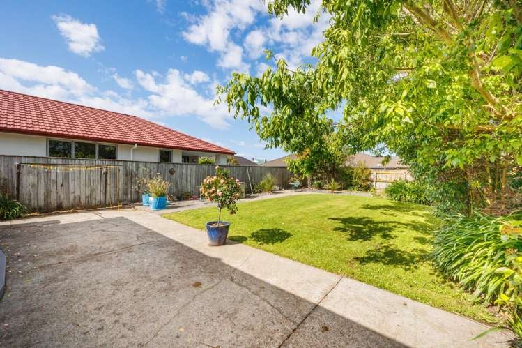 54A Roy Street Palmerston North_22