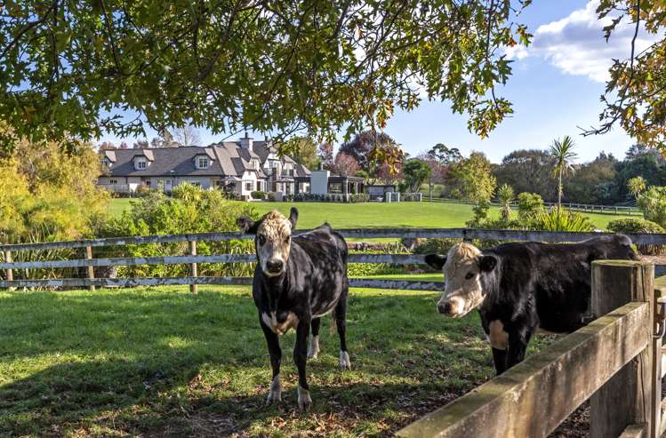 38 Porterfield Road Whitford_5