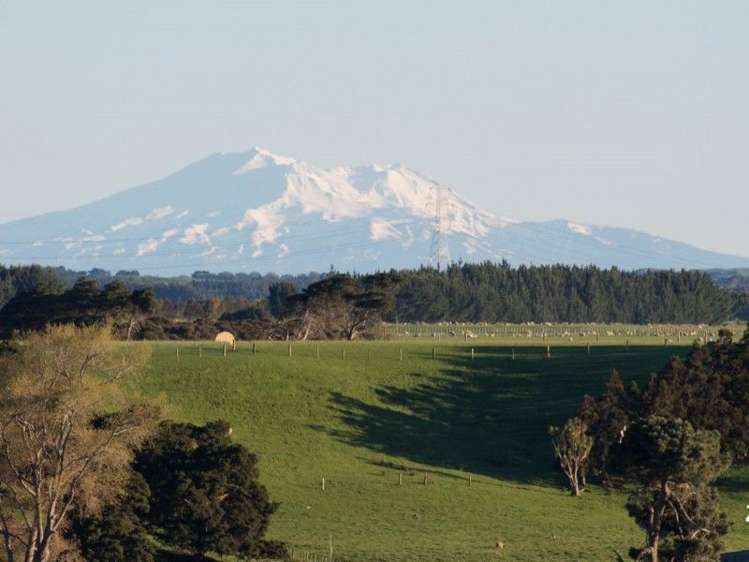 10 Red Lane Feilding_42