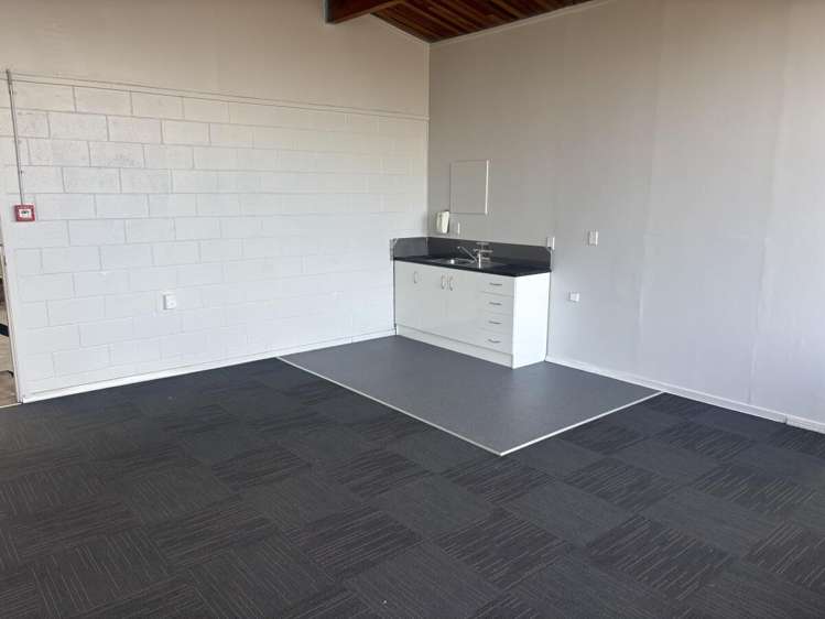 589 Rosebank Road Avondale_13