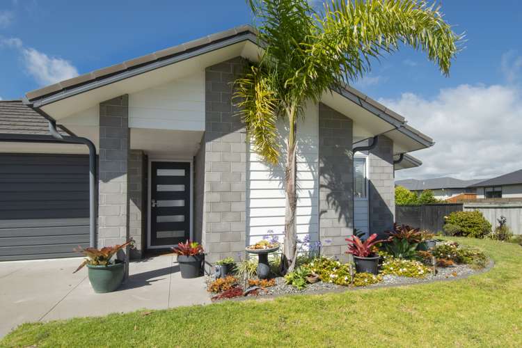 36 Piata Street Papamoa_0