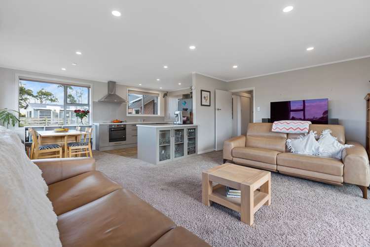 318 Mountain Road Lepperton New Plymouth Houses for Sale One Roof