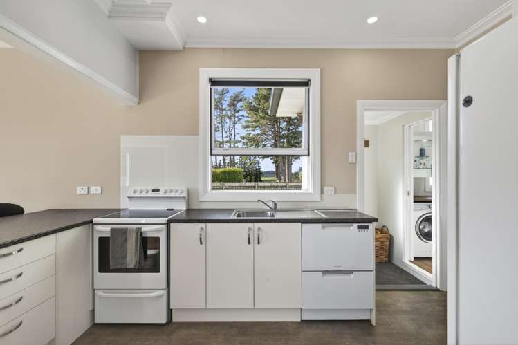 264 Egmont Road Hillsborough_11