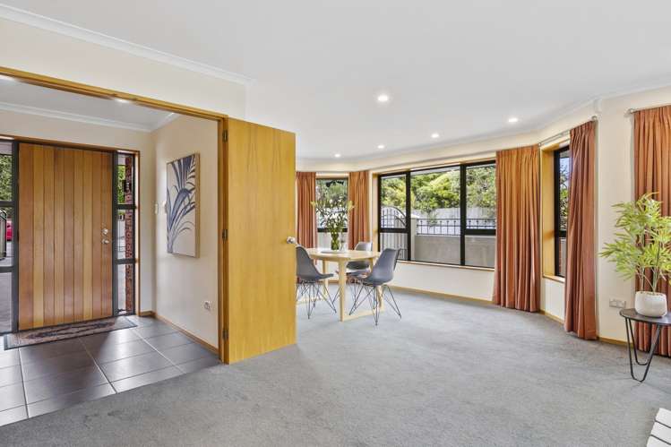 227 Forbury Road Saint Clair_5