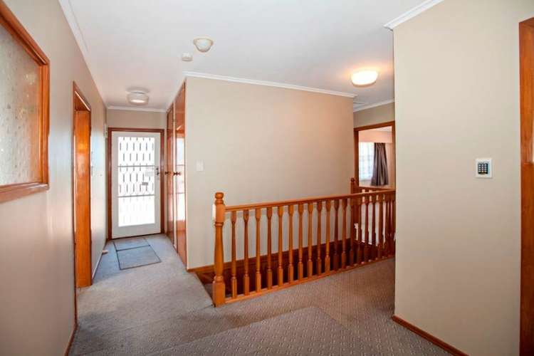 29 Pinewood Street Avondale_11