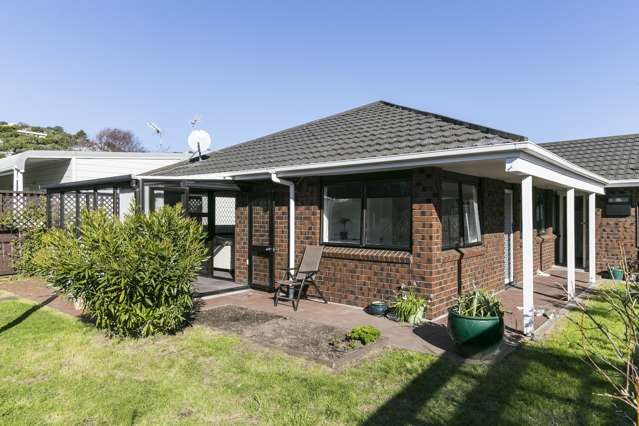 49 Rex Street Miramar_1