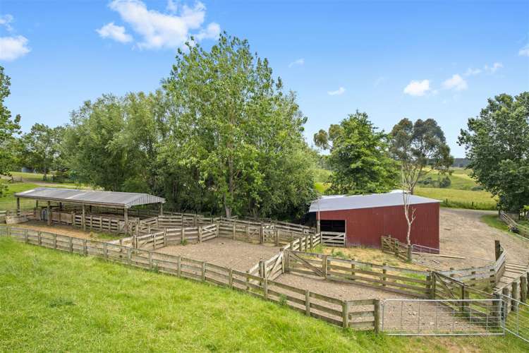 200 Highway 22 Pukekawa_30