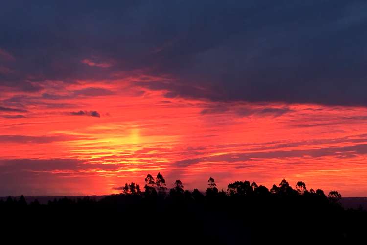 9 Betty May Drive Pyes Pa_34