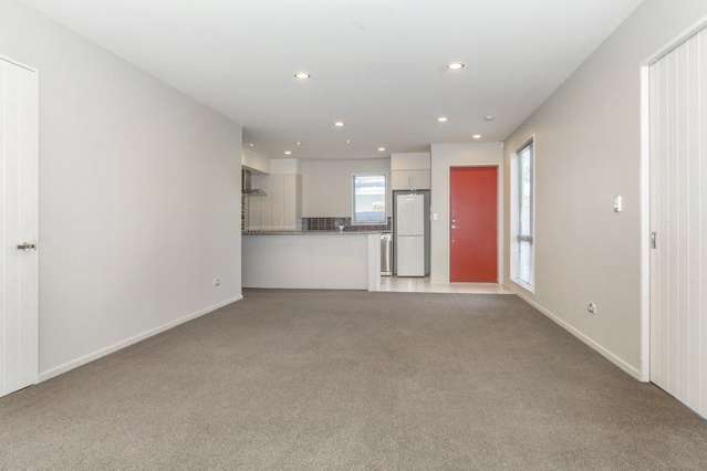 104 Strickland Street Sydenham_2